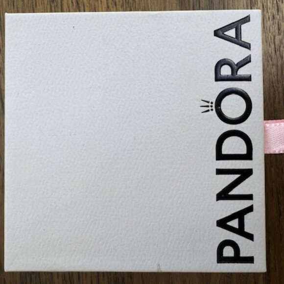 Pandora Moments Studded Chain Bracelet - Picture 4 of 6